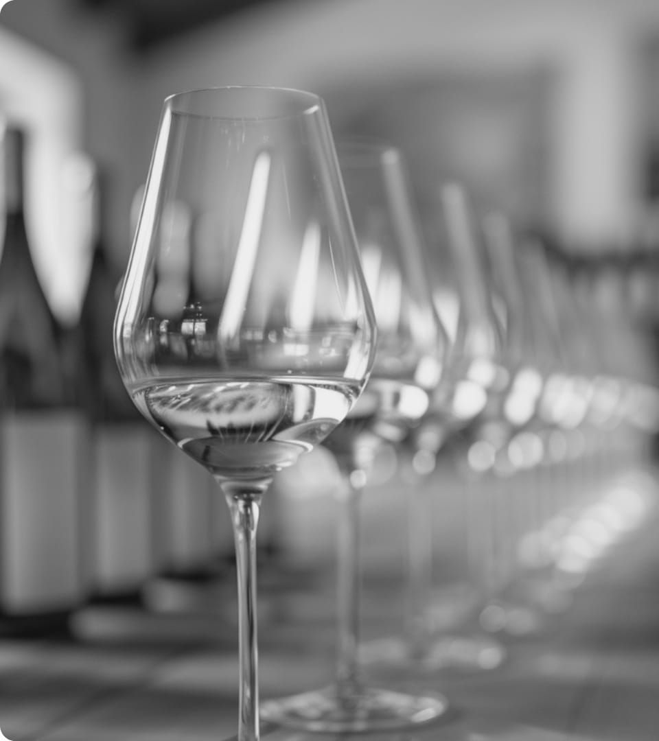 Jahrgangspräsentation 2025