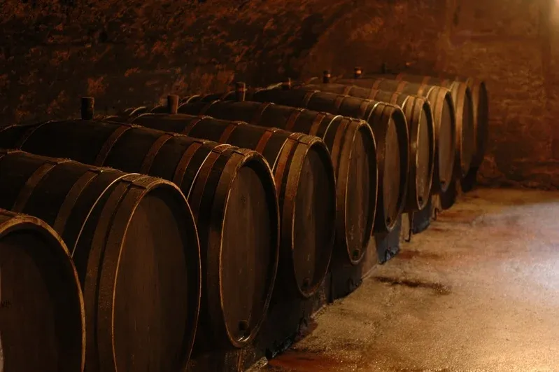 Weinkeller Mönchhof