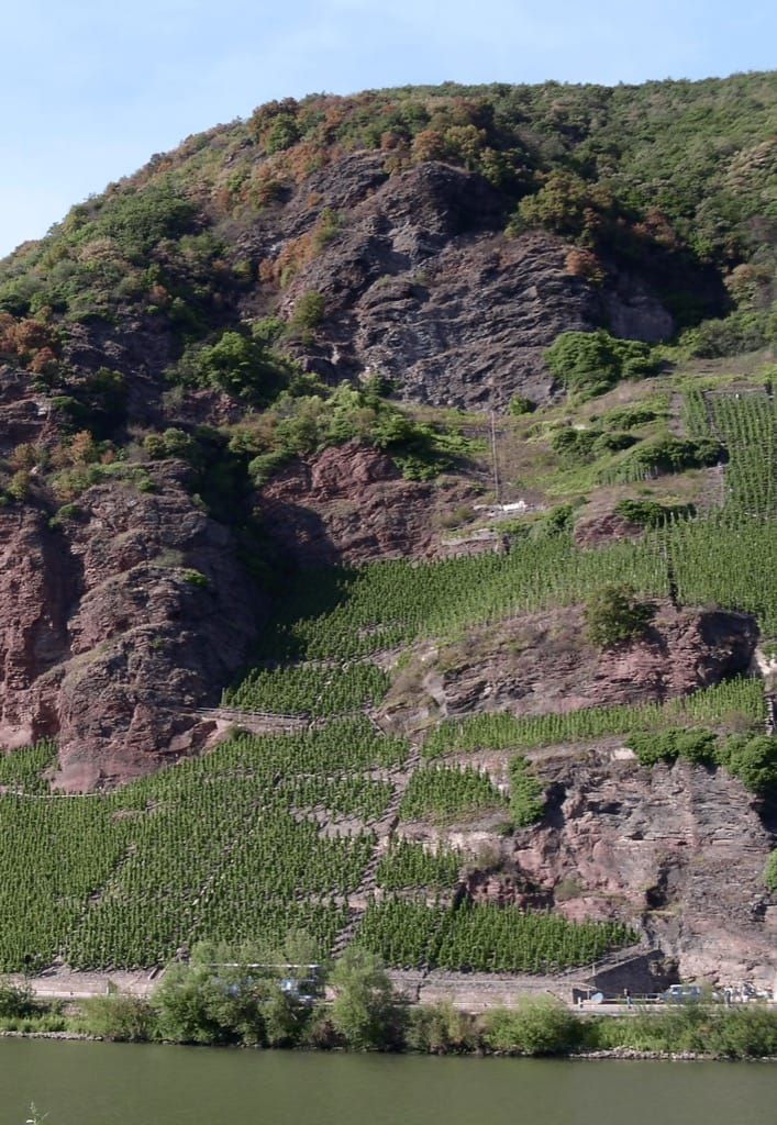Erdener Prälat - Steepest vineyard site in Germany
